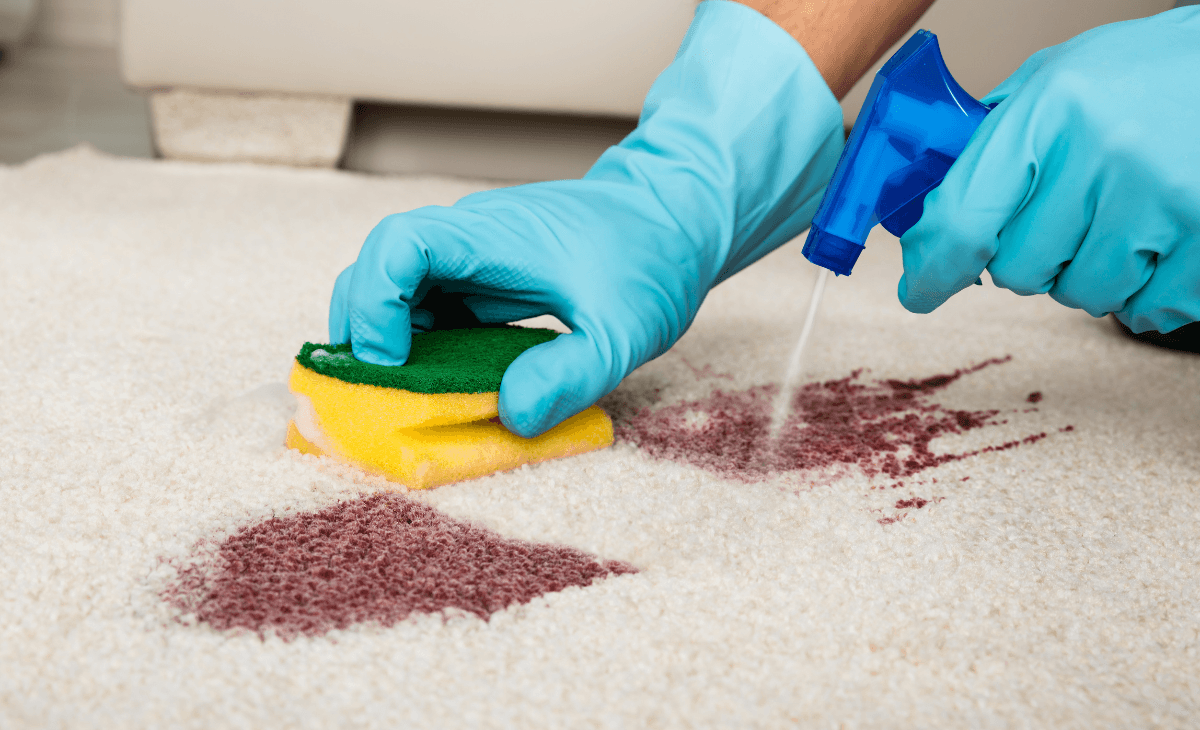 DIY carpet cleaning with a sponge and spray bottle — rarely meets end-of-lease inspection standards
