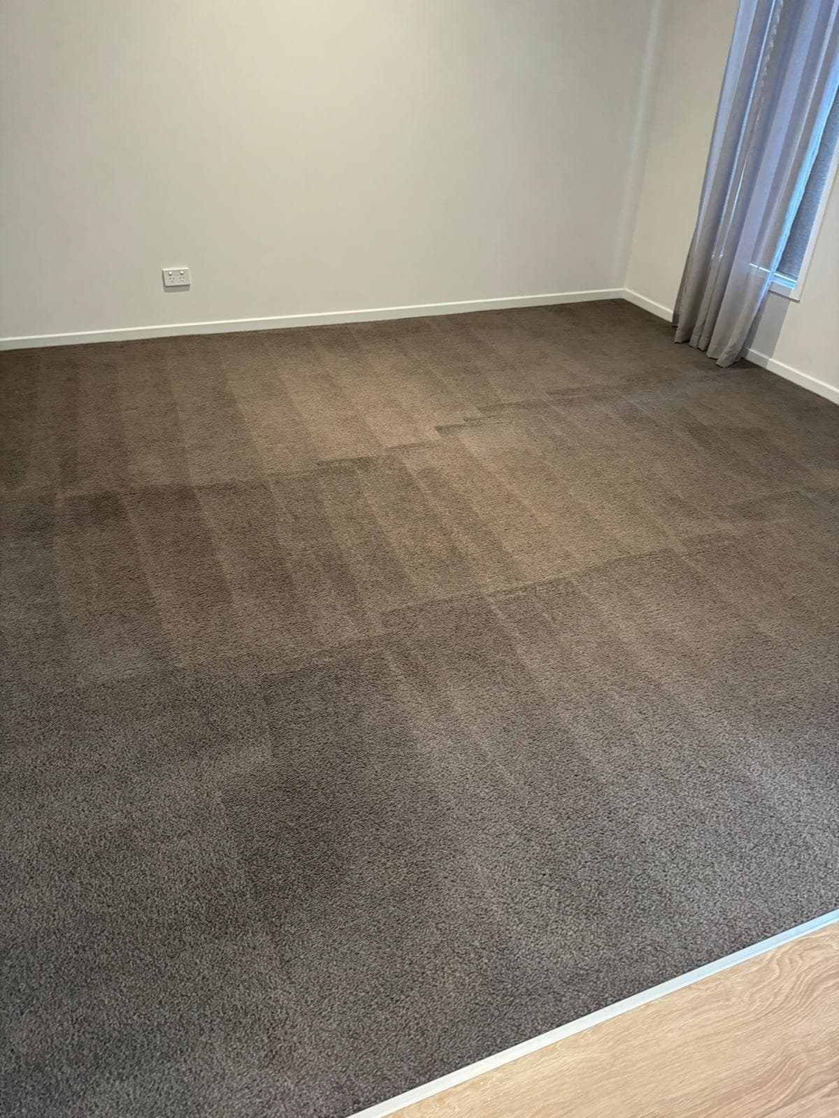 Carpet after professional steam cleaning by Cleaning Professionals — even pile, no stains, inspection-ready handover finish