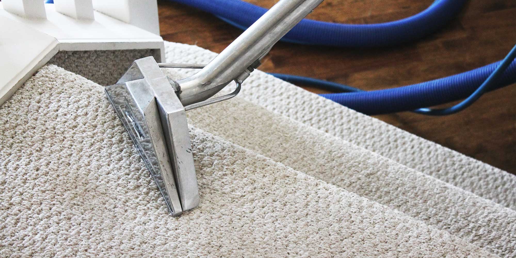 Expert Guide: Professional Carpet Cleaning Services in Melbourne